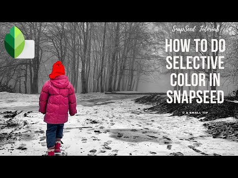 How To Do Selective Color In Snapseed | Tutorial