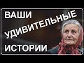 #47 Большой выпуск ваших историй - 42 минуты