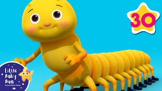 Bugs Bugs Bugs Bugs More Nursery Rhymes And Kids Songs Little Baby Bum Animal For Kids