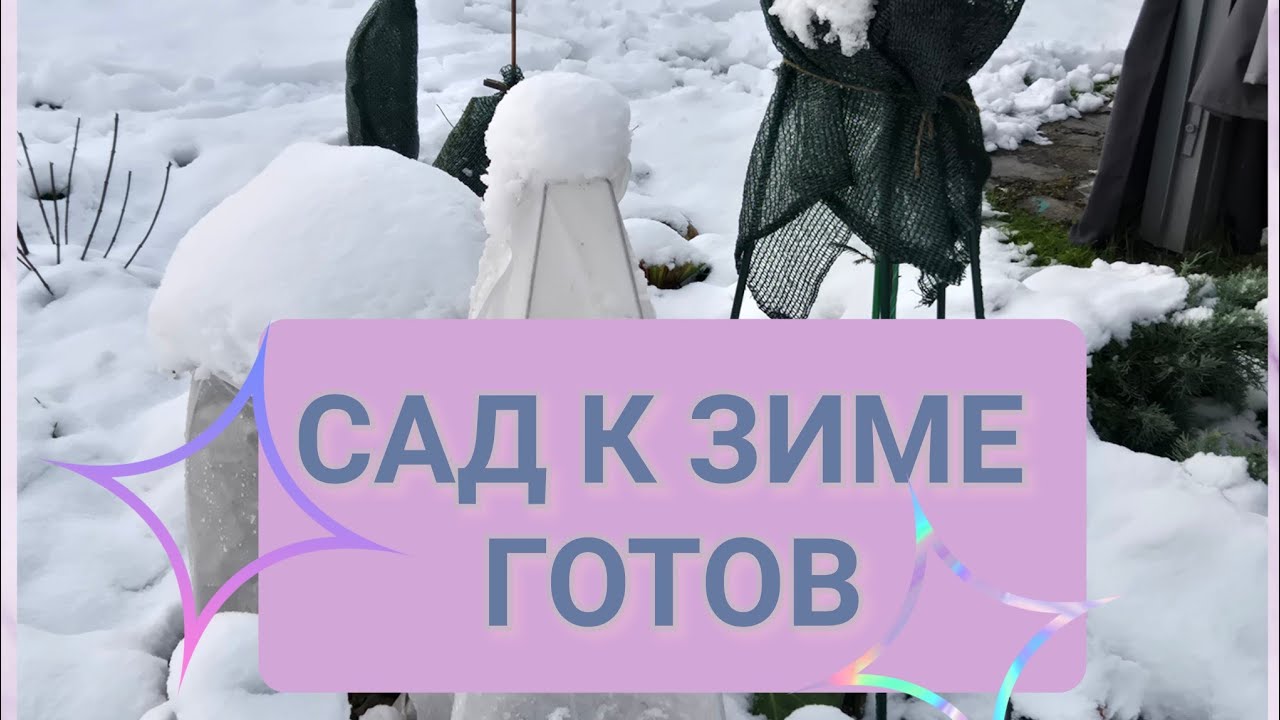 САД к зиме ГОТОВ! ❄️Первый снег❄️ и последняя прогулка в этом году🤗