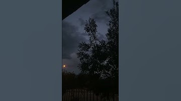 تلاوة تأخد بك الى عالم من الطمئنينة والسكينة😌🎧#قرآن