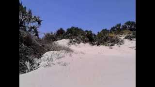 7 Acre Malindi property for sale on Ngomeni Beach