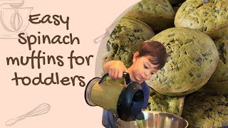 spinach muffins for toddler toddler baking show healthy and easy