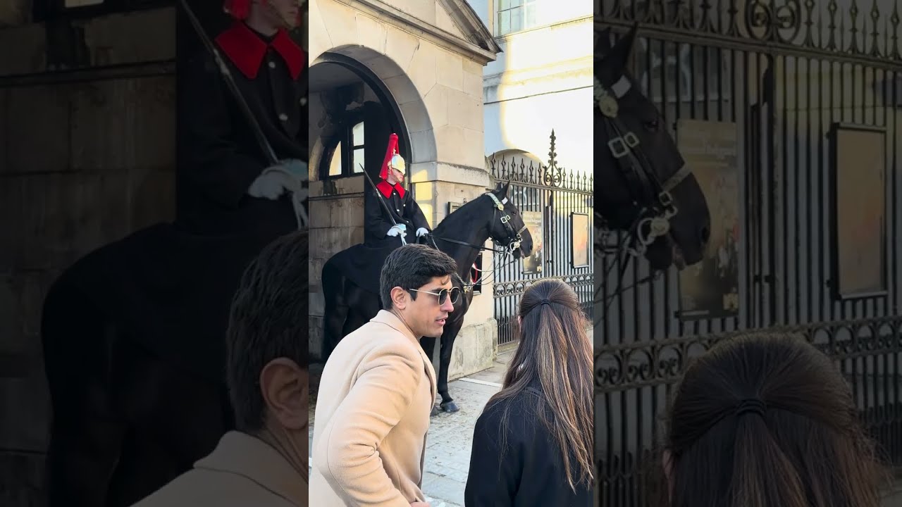 Tourists’ Reactions Meeting the Royal Horse for the First Time