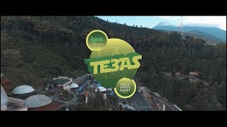 TEBAS 3 - IGMS