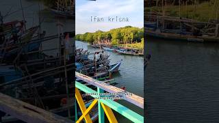 Hal menarik tentang wisata mangrove ujungpangkah #2 #wisata #gresik