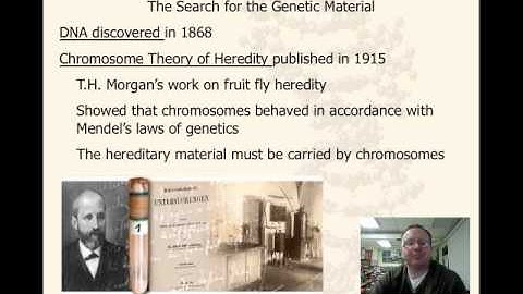 Central Dogma Screencast Session 1.m4v