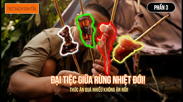 Sinh Tồn Giữa Rừng Nhiệt Đới Borneo! Thu Hoạch Được Đại Gà Rừng Và Một Bữa Ăn No Nê! #3