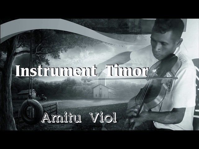 Instrument Timor  Amitu Viol Dansa Marsa class=