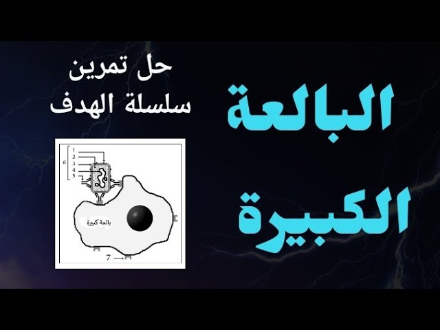 [ التمرين 23 في المناعة ] دور البالعة في المناعة الخلطية ؟