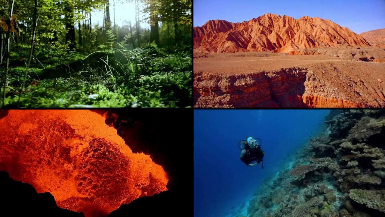 About Us: Carnegie Science Department of Global Ecology