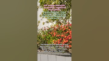 OOP Paradigm (Abstraction,  Encapsulation,  Inheritance,  Polymorphism)