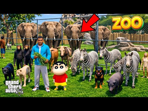 Franklin and Shinchan Start A Zoo & Came Zebra In ZOO IN GTA V