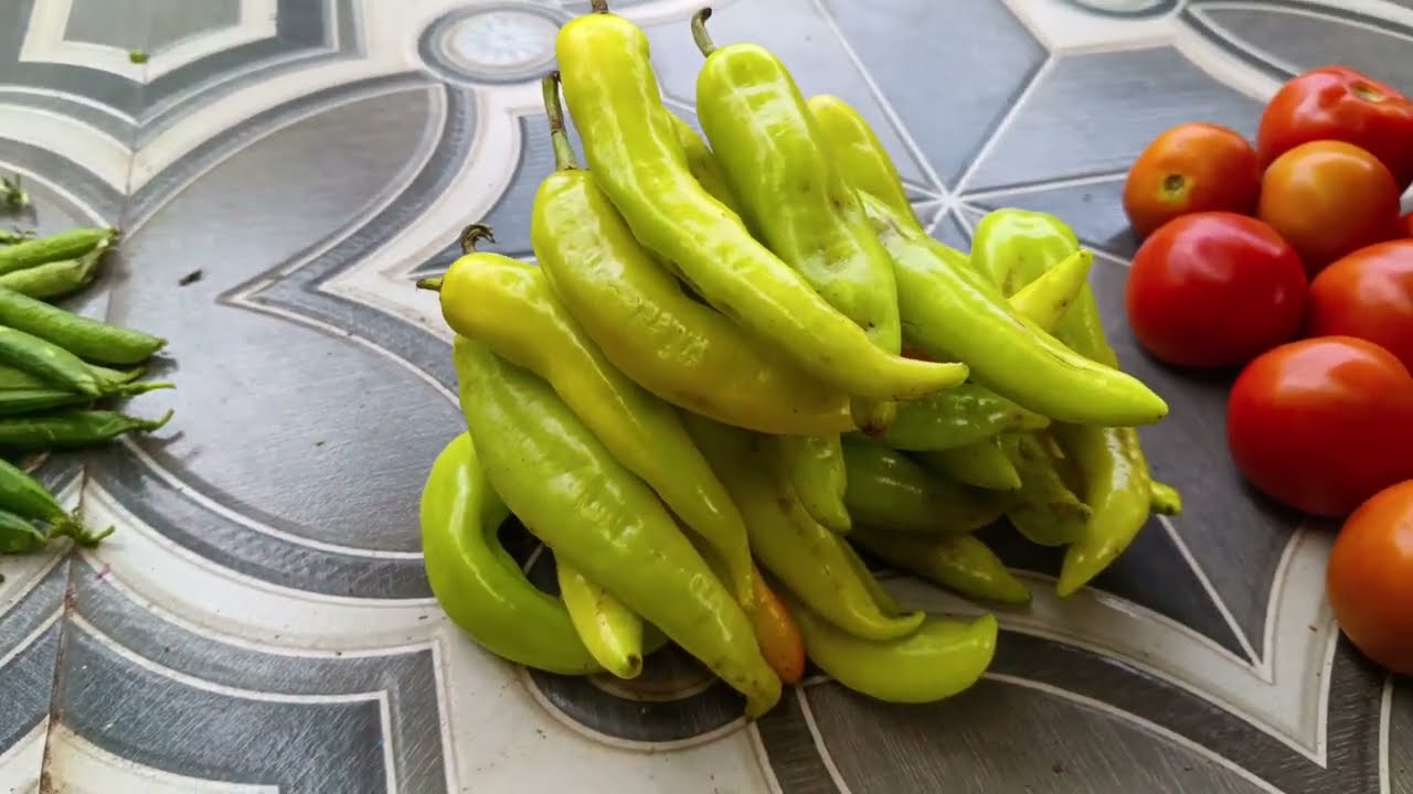 🛍️Vellore fresh vegetables marketing purchase