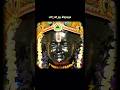 Our Beloved Shree Ramlalla🌹#ayodhya #ramlala #ramlaladarshan #aarti #harerama #shorts #viralvideo