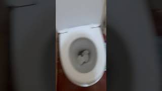 богатый егорик ты куда