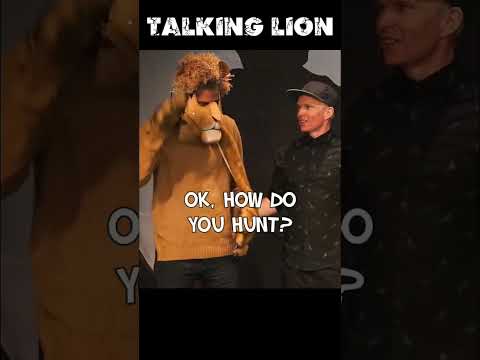 I turned a dude into a lion.
