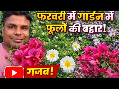 Amazing flowers in my garden in February 😍 | Full Garden Tour #anupammishra6289 #garden #viral #v...
