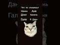 что ты слышишь?? я галя