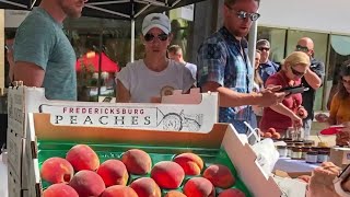 Heres Where You Can Celebrate Fredericksburg Peaches This Weekend In San Antonio
