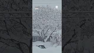 Cars Completely Buried In Oswego Snow