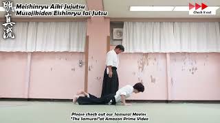 Meishinryu Aikido Techniques 明真流　合気道の稽古 2026 0421