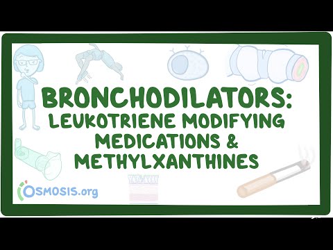 Bronchodilators: Leukotriene antagonists and methylxanthines