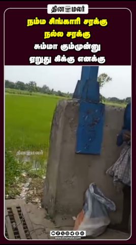 நம்ம சிங்காரி சரக்கு நல்ல சரக்கு சும்மா கும்முன்னு ஏறுது கிக்கு எனக்கு