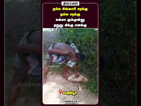 நம்ம சிங்காரி சரக்கு நல்ல சரக்கு சும்மா கும்முன்னு ஏறுது கிக்கு எனக்கு