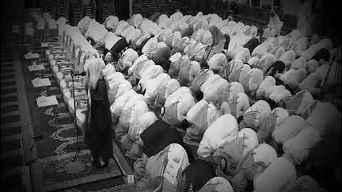 تلاوة نادرة للشيخ سعد الغامدي 🤎🌸