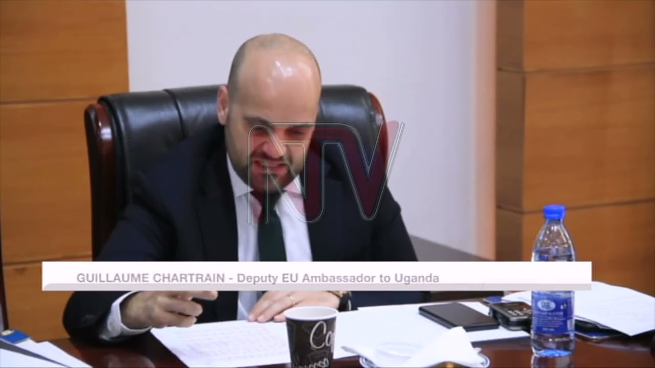 Government bans 40 timber export companies in forest partnership implementation