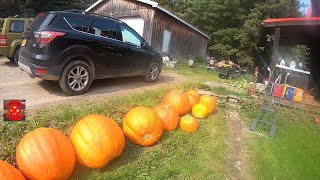Jumbo Pumpkin and the Kiddo