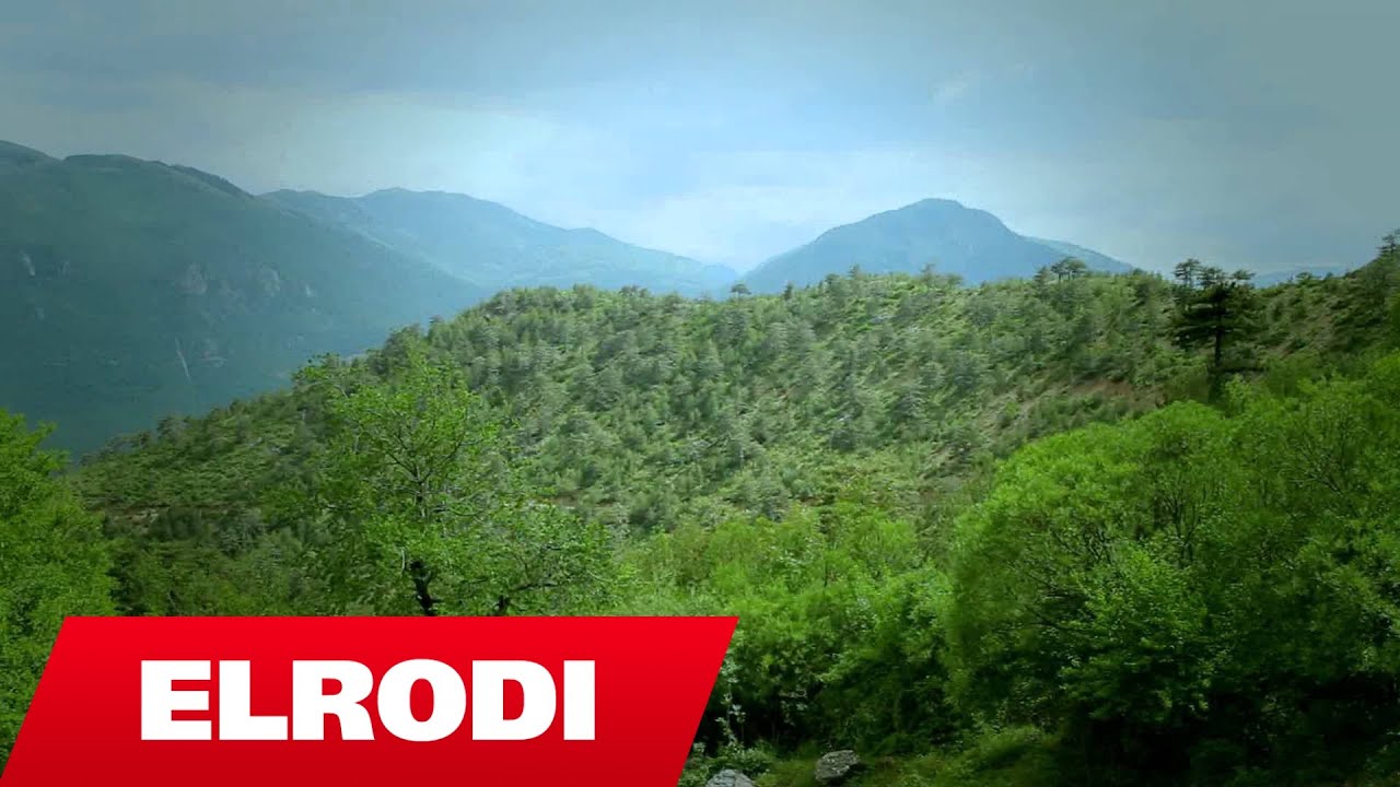 Gezim Ahmetaj - Vesel Coka n'kenge do t'kendohet (Official Video HD)