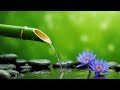 Calming Piano Music and Bamboo Fountain Flow – Peaceful Meditation and Deep Healing
