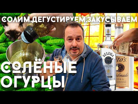 Битва соленых огурцов! Солим тремя способами и дегустируем с правильным напитком!