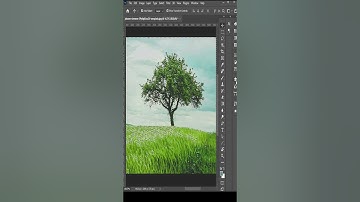 Select Trees using Channels #shorts #photoshop
