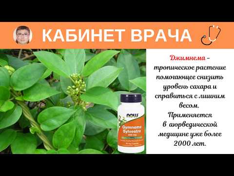 Джимнема - средство аюрведической медицины для снижения сахара и коррекции веса.
