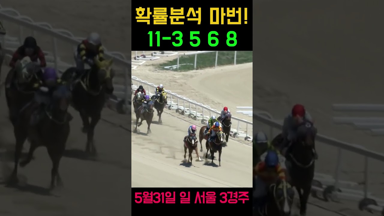 삼복승 154.8배 황금마번 적중! 🎯확률분석이 찾아내는 소름 돋는 황금 마번의 대박 적중!🎯 5월31일 일요 서울3경주💥#경마 #경마적중 #고배당 #쇼츠 #서울경마적중 #황금마번