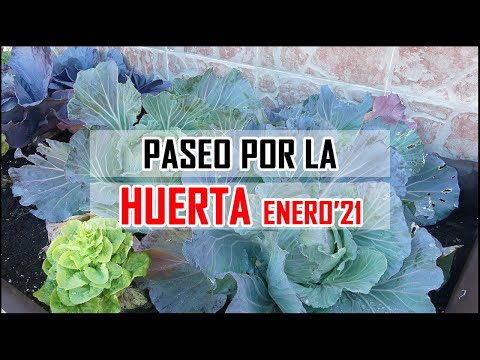 PASEO por la HUERTA y JARDIN + PLANIFICACION de Temporada | Locos por la huerta y jardin (Enero '21)