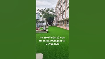 Cỏ Nhân Tạo Trải Sân Trường Học Đón Khai Giảng #shorts