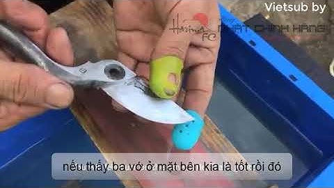 Cách Mài Kéo Cắt Cành
