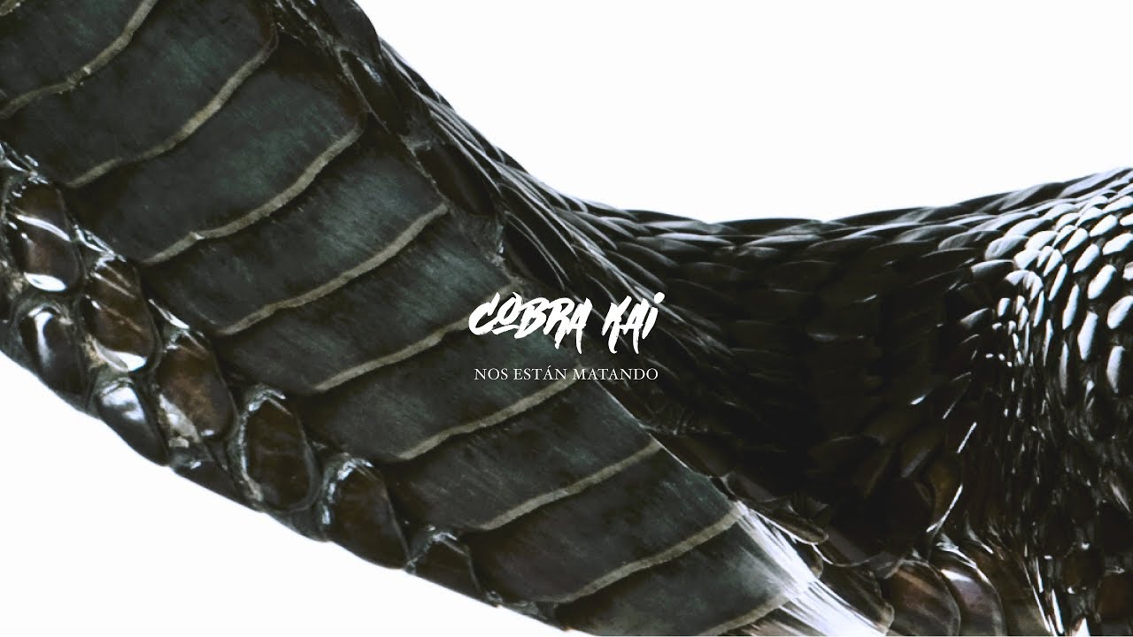 Cobra Kai - El Jefe adlı videoyu YouTube'da izle Cobra Kai - El Jefe adlı videoyu YouTube'da izle