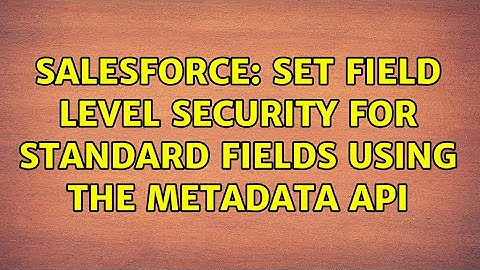Salesforce: Set Field Level Security for Standard Fields Using the Metadata API (2 Solutions!!)
