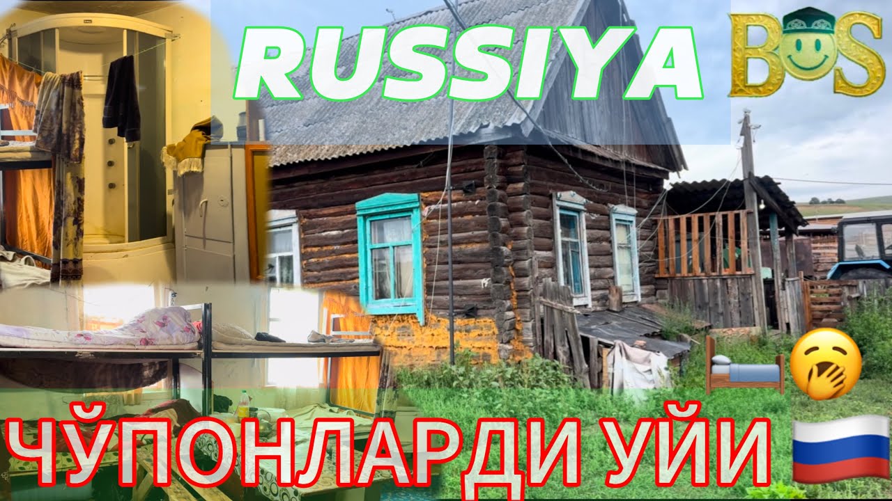 “Чўпон уйи — табиат бағридаги турмуш”🫠#рекомендация#ферма#чорвачилик#қишлоқхўжалиги 