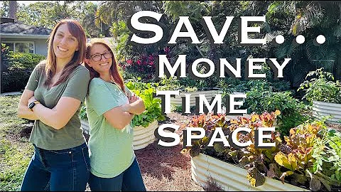 Top 3 Crops for EVERY Season | Florida Gardening Made Easy