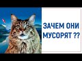 Почему мусор на улицах ? Что с этими людьми ?!