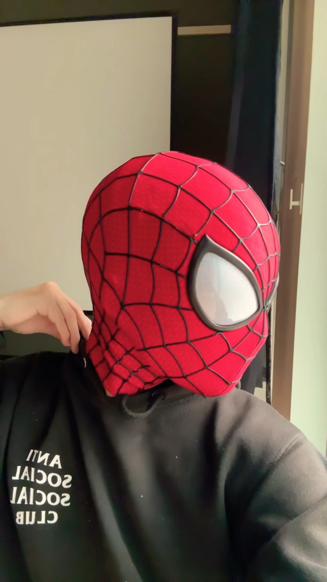 スパイダーマン】アメイジング•スパイダーマン2 マスクが届いたよ