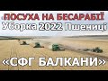 Уборка 2022 Пшениці на Бесарабії "СФГ БАЛКАНИ"