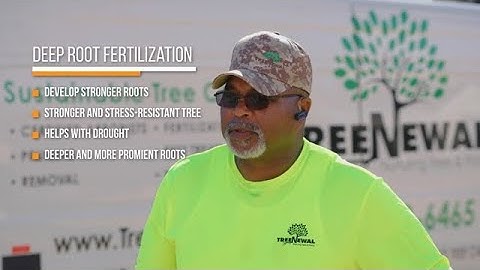 Maximizing Tree Health with Deep-Root Fertilization 🏆 Healthy Roots = Healthy Trees