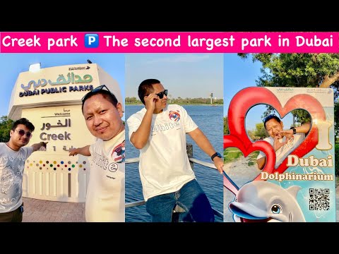 Creek park | The second largest park in Dubai | Dubai Dolphinarium | Children's City| | beach View🔥
